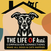The Life of Kai: Compassion Connections Inc.